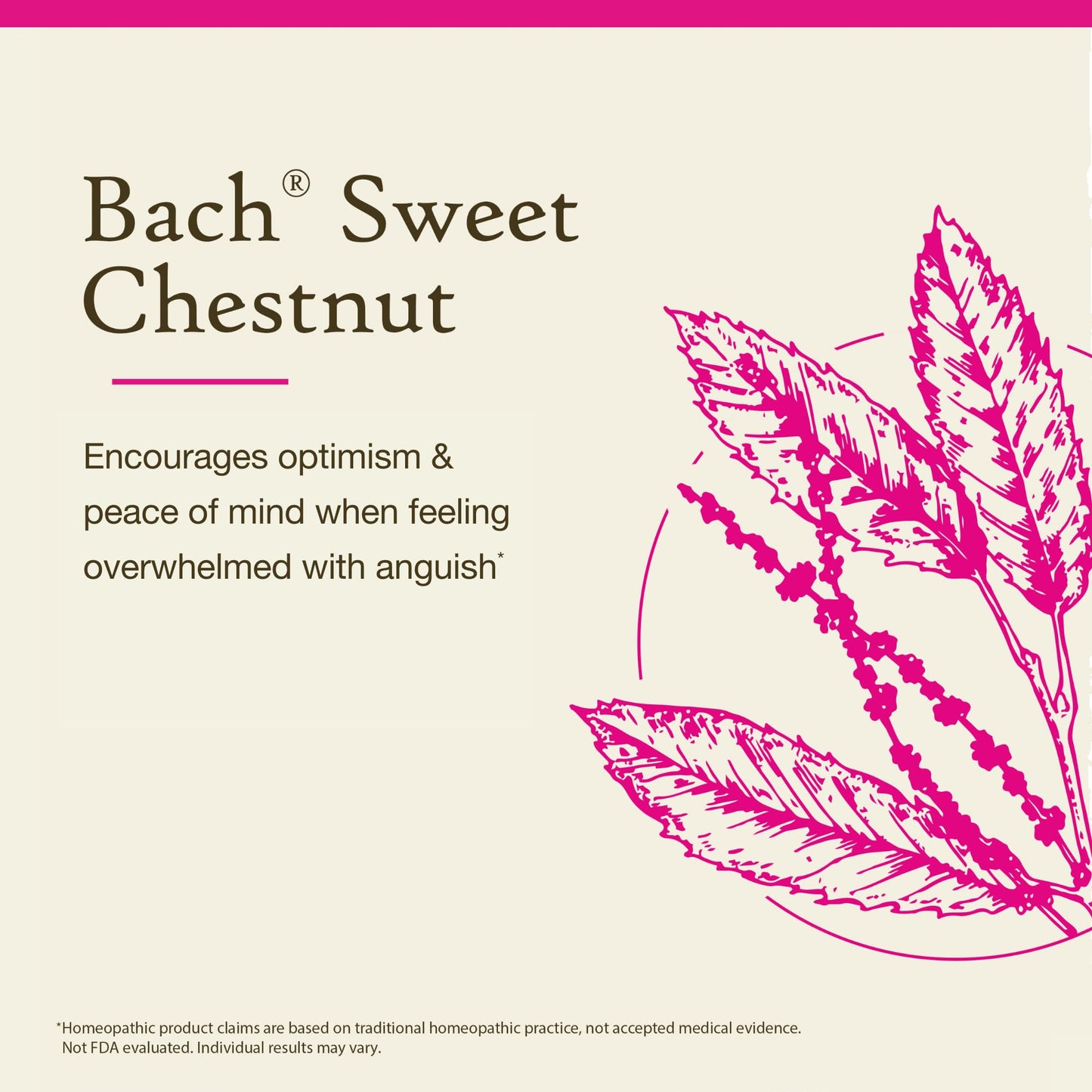 Bach Original Flower Remedies Sweet Chestnut - Be Optimistic (20mL Dropper)