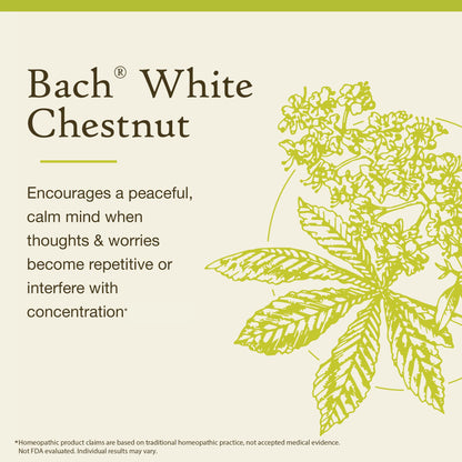 Bach White Chestnut Original Flower Remedies – Calm The Mind (20mL)