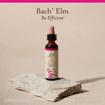 Elm - Be Efficient | Bach Original Flower Remedies for Emotional Balance (20mL Dropper)