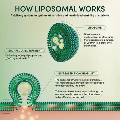 Beekeeper's Naturals Brain Nootropic Supplement - 500mg Citocoline, Ginkgo, Bacopa, Royal Jelly, Vanilla Flavor, 30ct