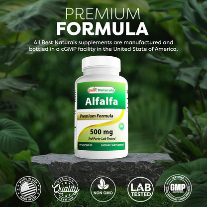 Best Naturals Alfalfa Green Super Food – 500 mg, 180 Capsules (Pack of 1)