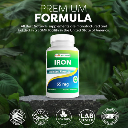 Best Naturals Iron Supplement 65 mg - 240 Tablets - Non-GMO & Gluten Free (Pack of 2)