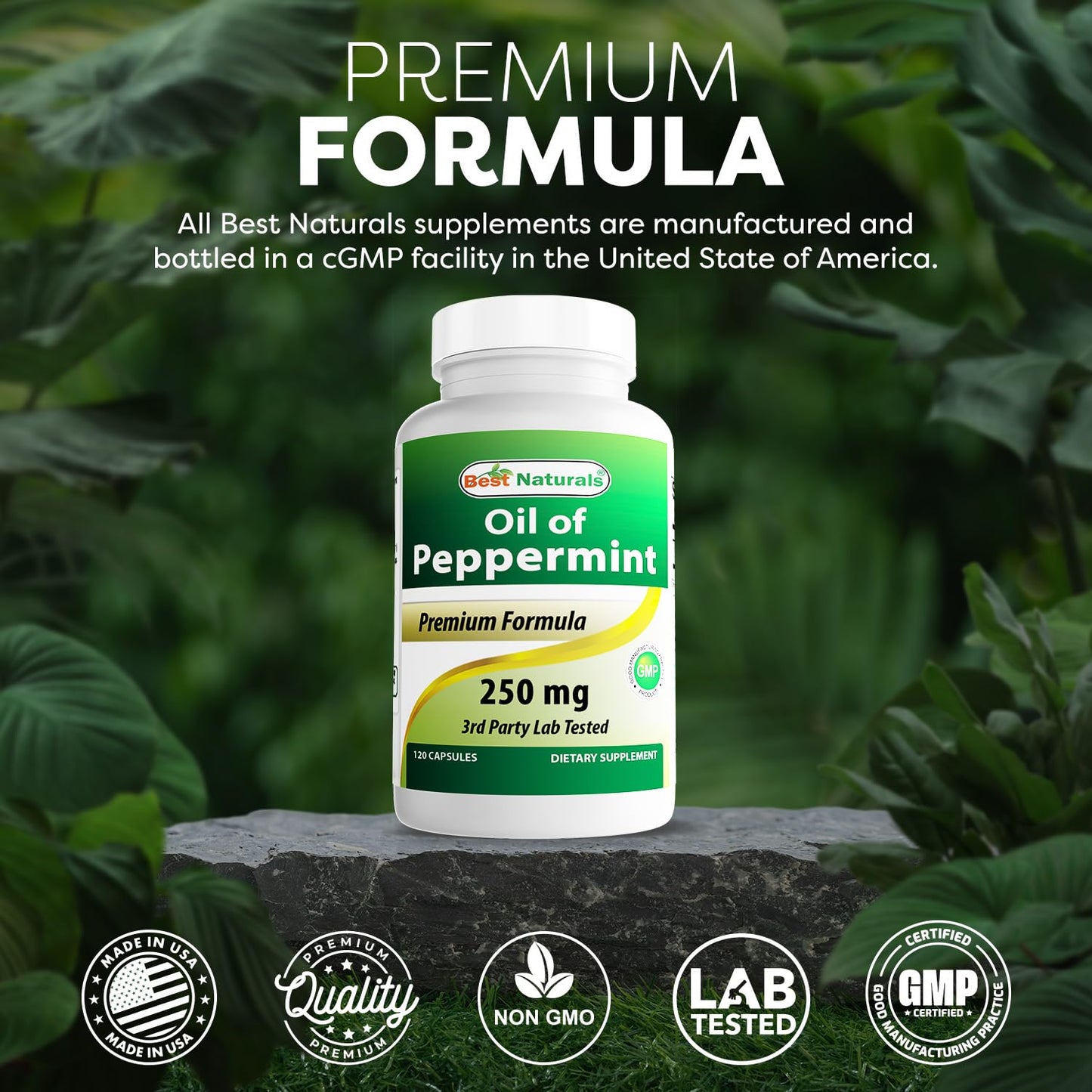 Best Naturals Peppermint Oil Bowel Soothing Dietary Supplement, 250 mg, 120 Count