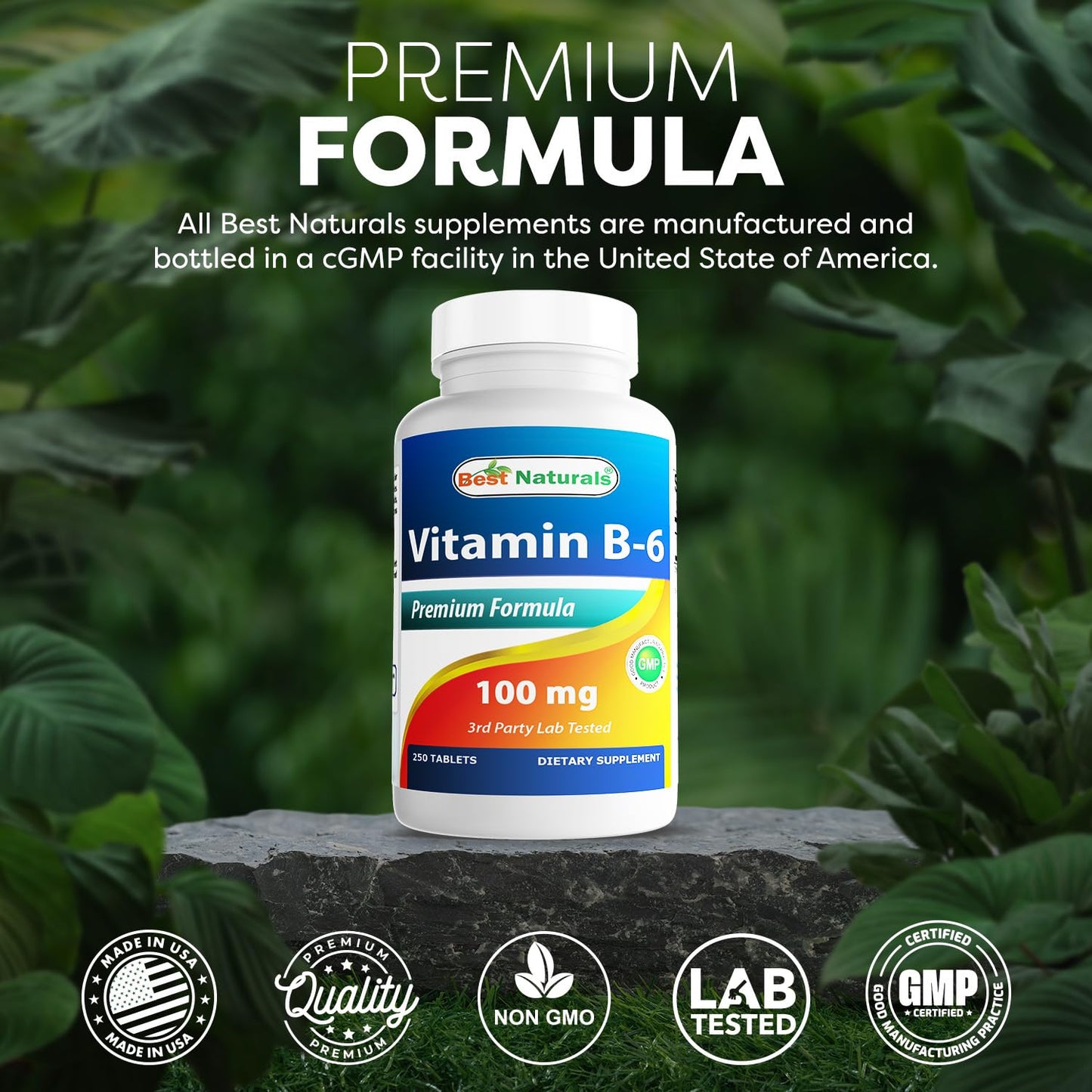 Best Naturals Vitamin B6 Tablet 100 mg - 250 Count Pack of 2 | Non-GMO & Gluten-Free | Made in USA