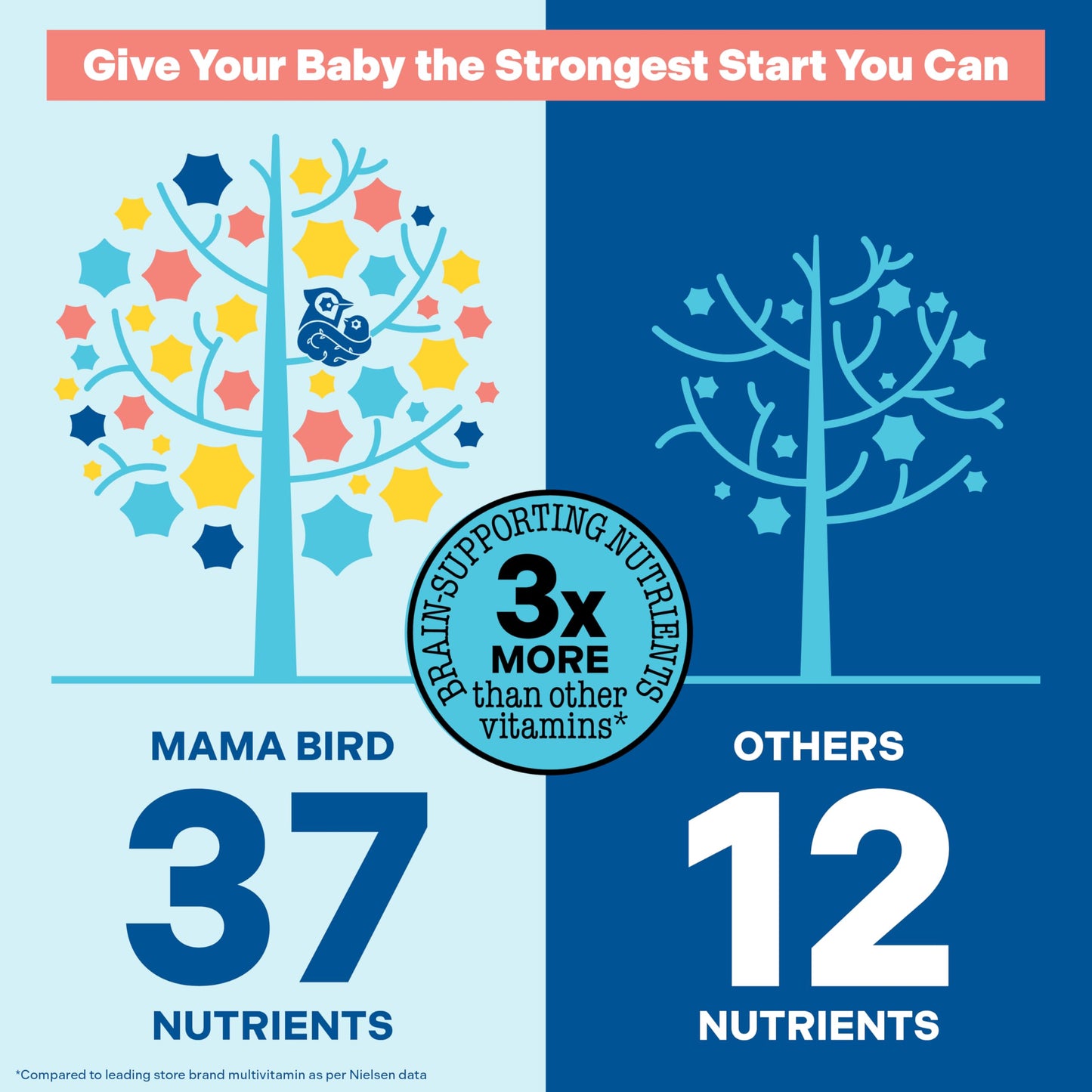 Mama Bird Prenatal Multi+ | Best Nest Wellness – 30+ Nutrients for Baby Brain Health (Vegan, Gluten Free)
