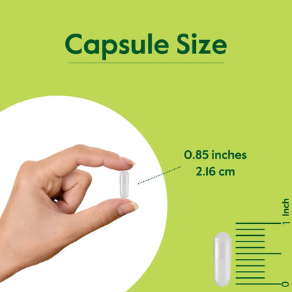 BESTVITE Fucoidan Extract 500mg | 85% Fucoidan | 120 Veg Capsules