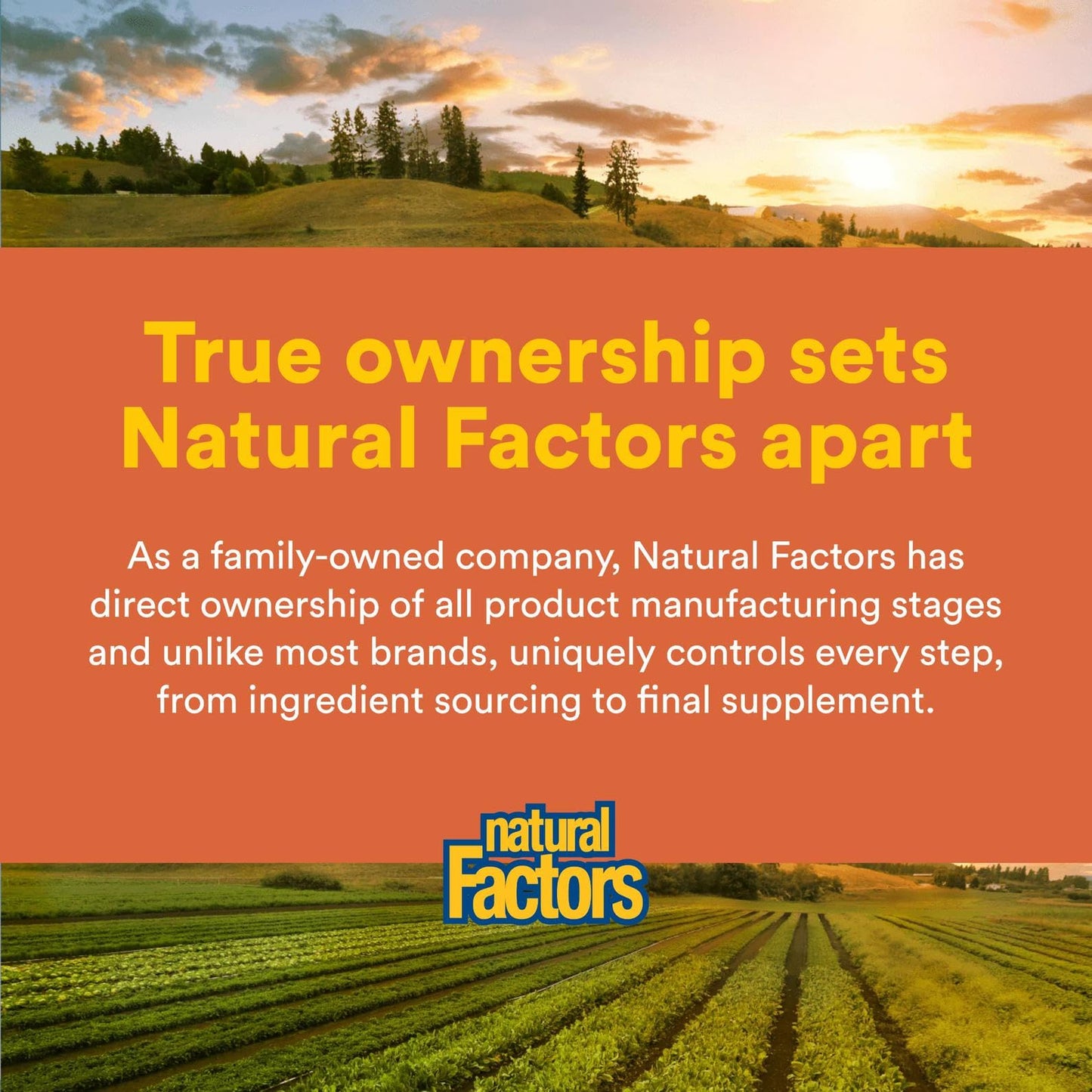 Natural Factors BetaCareAll 25,000 IU Vitamin A - Healthy Skin, Vision & Immune Support | 90 Softgels