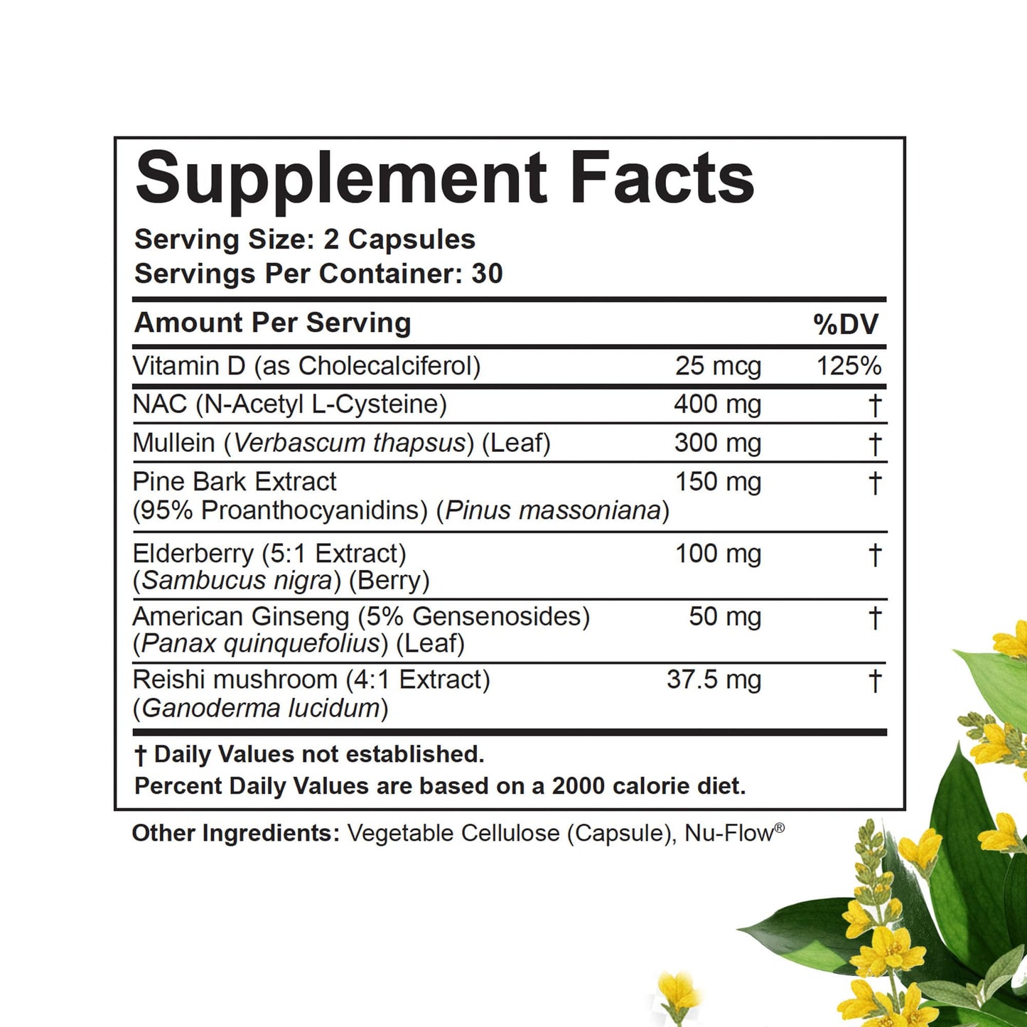 BetterLungs Lung Support Supplement with NAC, Mullein & Elderberry – 60 Capsules
