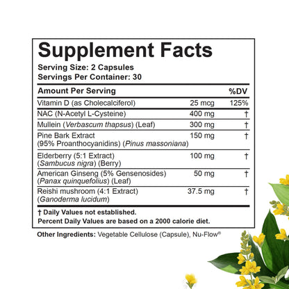 BetterLungs Lung Support Supplement with NAC, Mullein & Elderberry – 60 Capsules