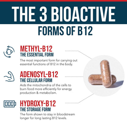 BioActive Vitamin B12 1000 mcg | All 3 BioActive Forms B12 Plus Methylfolate Cofactor - Methyl B12, Adenosyl B12 & Hydroxy B12 | Supports Energy, B12 Levels & Mood | Vegan, Non-GMO (60 Servings)
