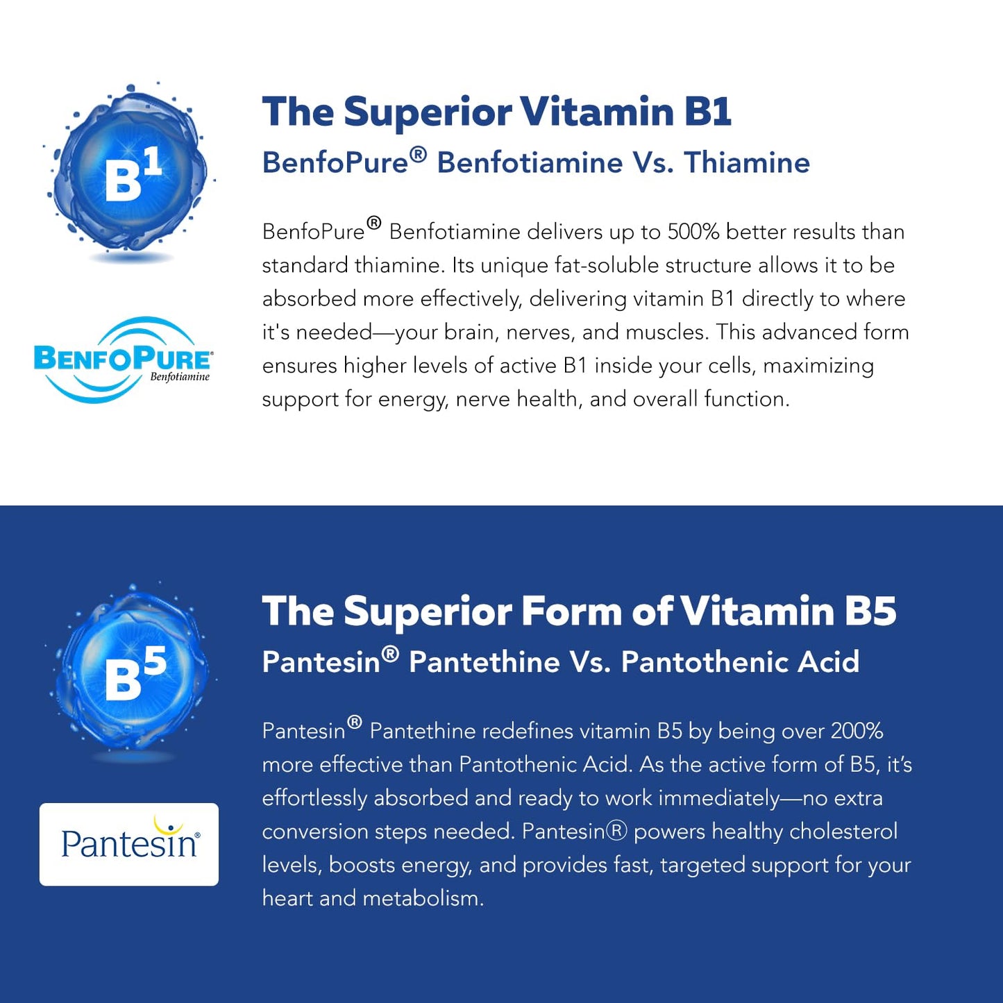 BioActive Vitamin B Complex – Bloodstream-Ready, Methylated B Vitamins, 60 Servings