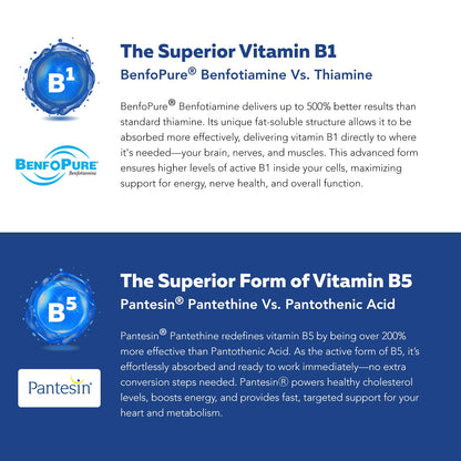 BioActive Vitamin B Complex – Bloodstream-Ready, Methylated B Vitamins, 60 Servings