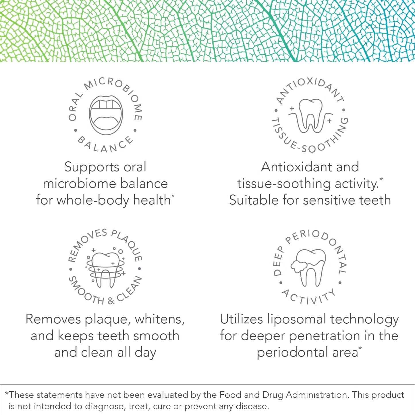 Biocidin Dentalcidin Oral Care System – Fluoride-Free Toothpaste & Liposomal Rinse (2-Piece Set) | Plant-Based, Professional-Strength for Adults