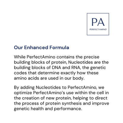 BodyHealth PerfectAmino (300 ct) – Easy to Swallow Vegan Amino Acids for Pre/Post Workout