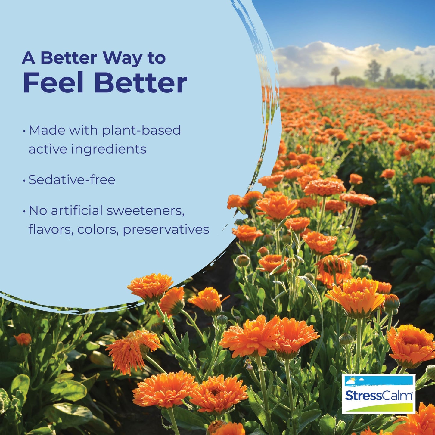 Boiron StressCalm Tablets - Stress Relief & Calm (120 Count, 2-Pack)