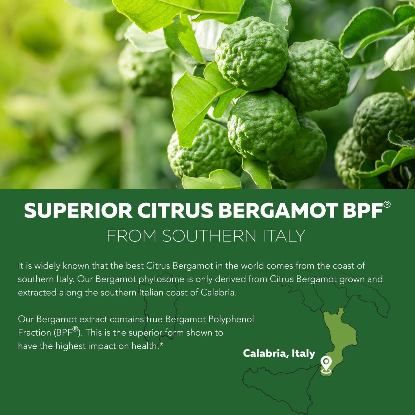 SoActive Bergamot 2.5X More Effective | Clinically Validated Citrus Bergamot Phytosome (60 Capsules)