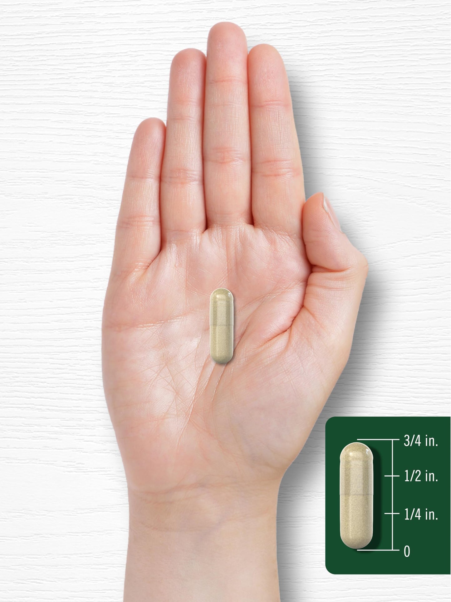 Carlyle Psyllium Husk Capsules 1600mg – 200 Count | High Potency Fiber