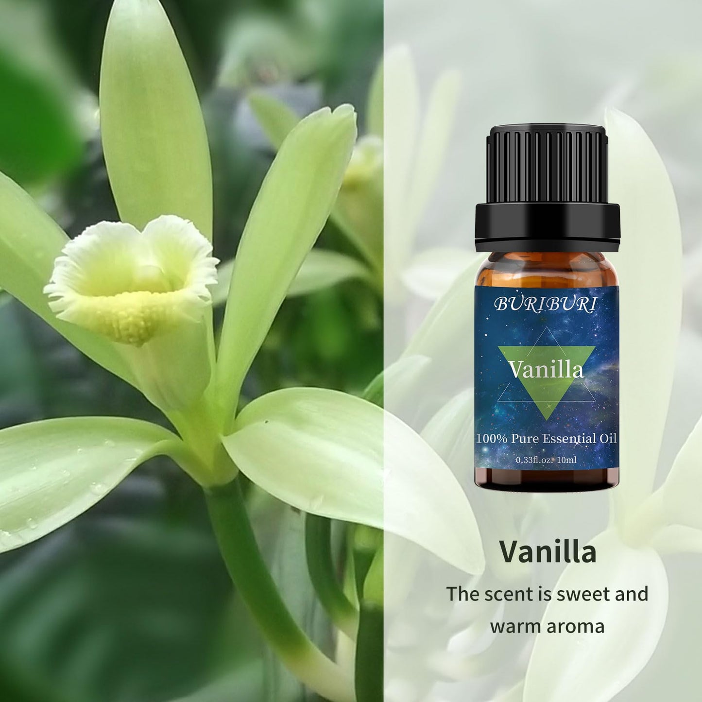 BURIBURI Vanilla & Coffee Essential Oil Set (10ml) – 100% Pure Fragrance Oils