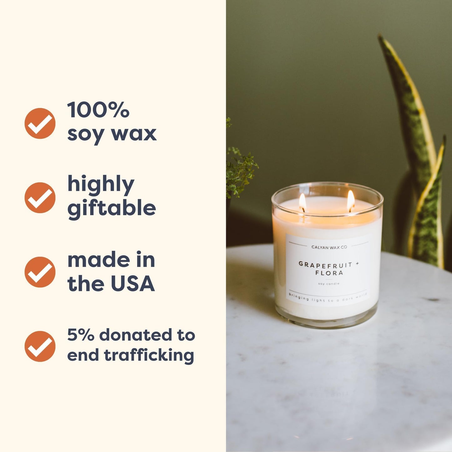 Calyan Wax Co. Desert & Agave 2 Wick Candle – 37 Hour Burn, 8.8oz Soy