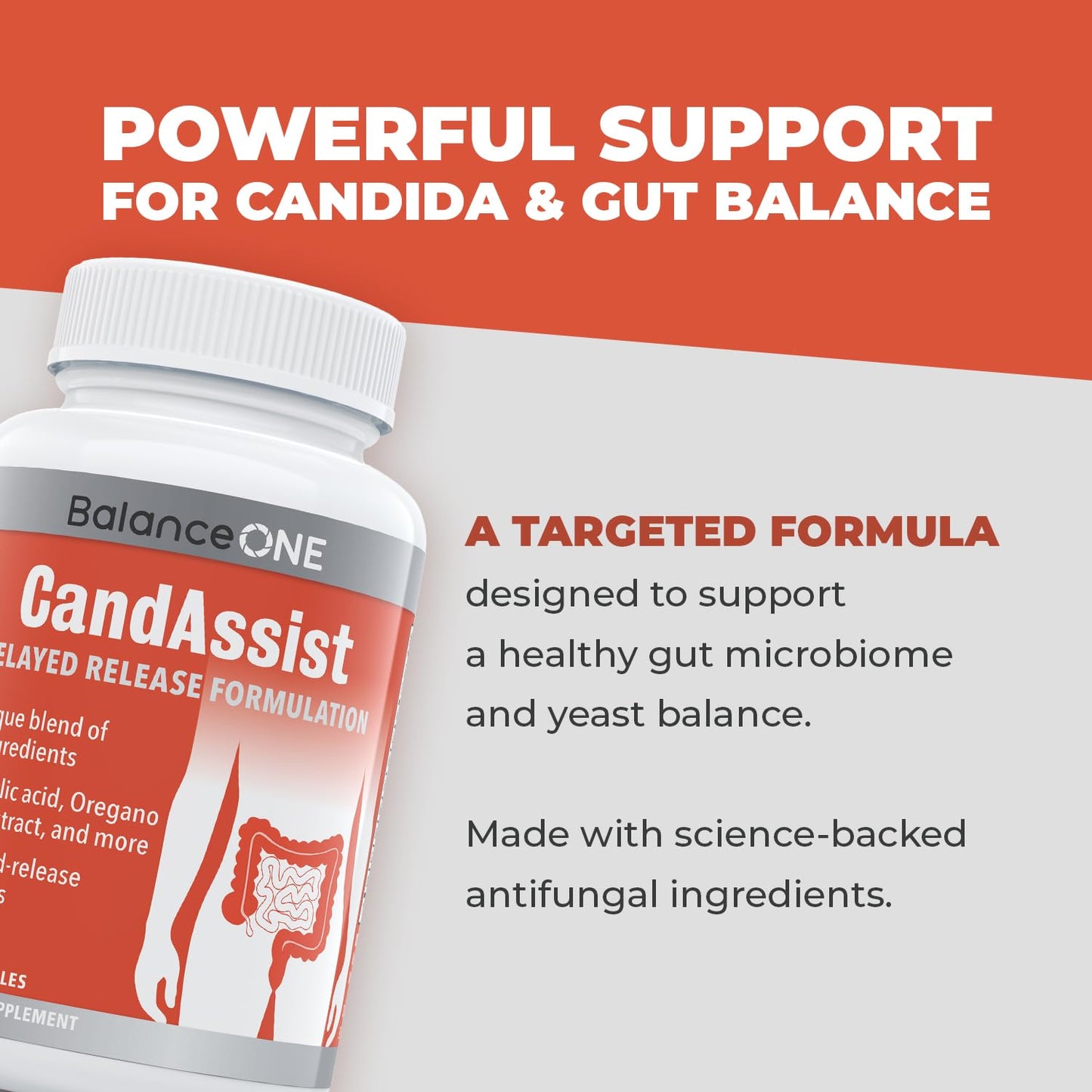 CandAssist Balance ONE Candida Support – Caprylic Acid, Berberine & Oregano