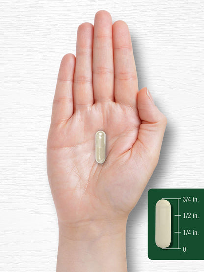 Carlyle Gymnema Sylvestre 600mg Capsules – 200 Count | Non-GMO & Gluten Free
