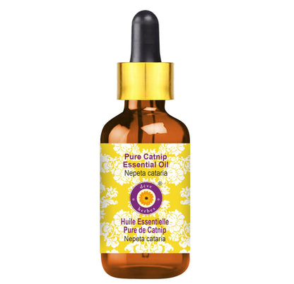 Catnip Essential Oil Nepeta cataria - Steam Distilled 15ml with Glass Dropper | Deve Herbes