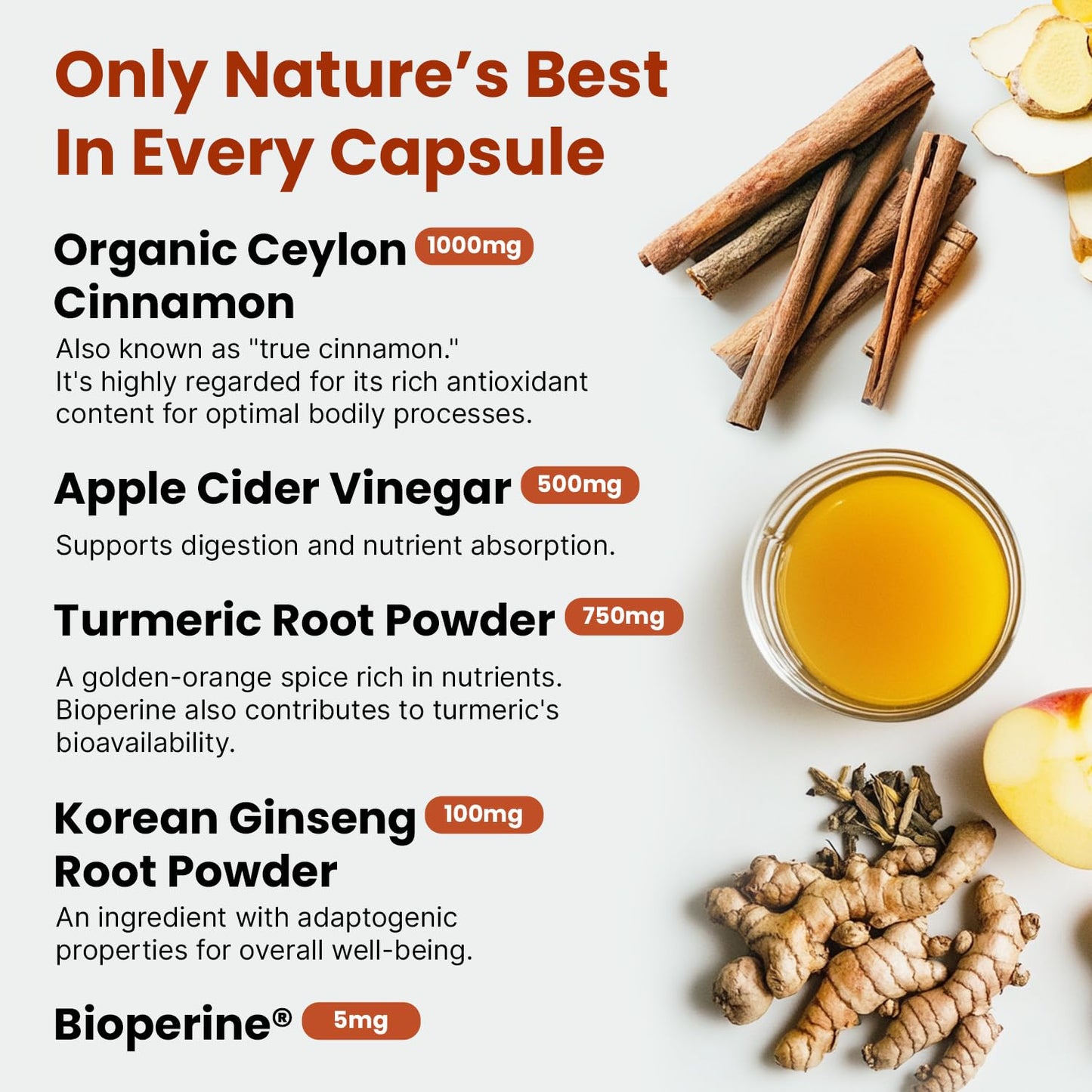 5-in-1 Ceylon Cinnamon Capsules 2355mg – 120 ct | Apple Cider Vinegar, Turmeric