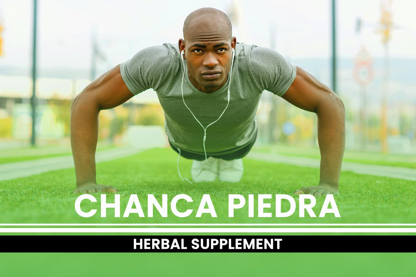 Chanca Piedra 365 Capsules – Pure Original, Lab Verified, No Fillers