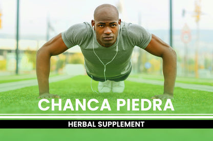 Chanca Piedra 365 Capsules – Pure Original, Lab Verified, No Fillers
