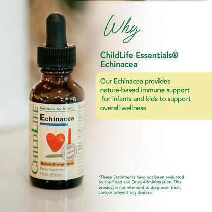 CHILDLIFE ESSENTIALS Echinacea for Kids – Alcohol-Free Immune Drops (Babies–Teens)
