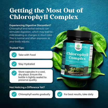 Chlorophyll Capsules for Body Odor & Detox | Mint & Parsley | Vegan Non-GMO Gluten Free (90ct)