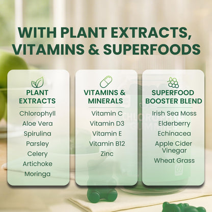 Chlorophyll Gummies with Vitamins C, D3, E, B12 & Zinc — Vegan, Sugar-Free | Immune & Digestive Support | Green Apple (60 Count Pack of 2)