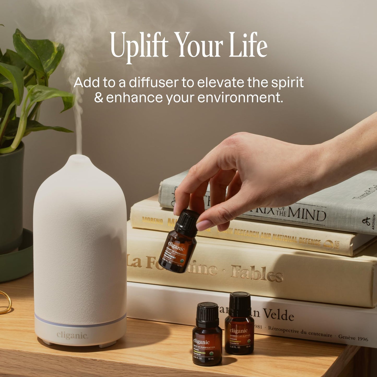 Cliganic Organic Aromatherapy Essential Oils Gift Set (Top 8 Iconics) – 100% Pure