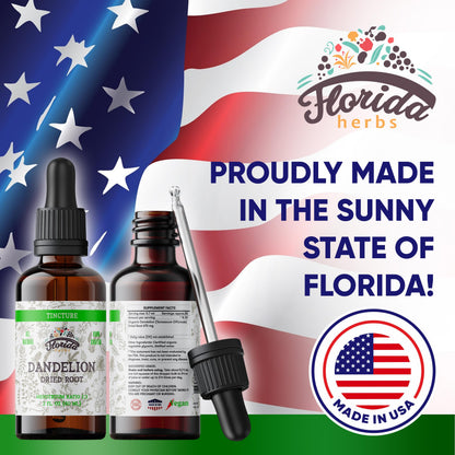 Florida Herbs Dandelion Root Tincture Organic - Non-GMO, Cold-Pressed Glycerin, 2 oz, 685 mg (Pack of 2)