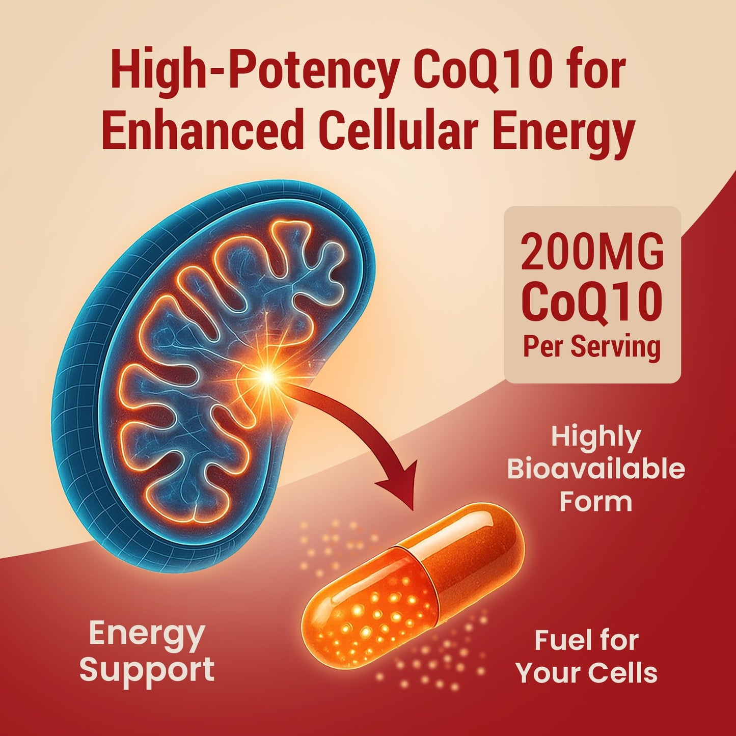 CoQ10 200mg Vegan – Ultra High Absorption CoQ10 (60 Count)