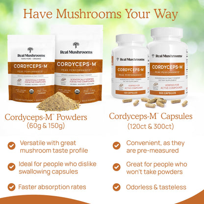Cordyceps Mushroom Powder - Real Mushroom, Organic, Vegan & Non-GMO | 150 Servings