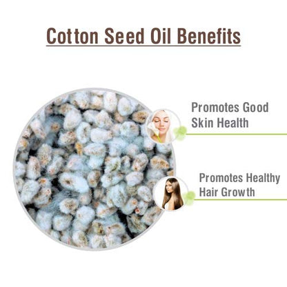 Cotton Seed Oil (Gossypium Herbaceum) – Pure Carrier Oil for Aromatherapy | 30 ml