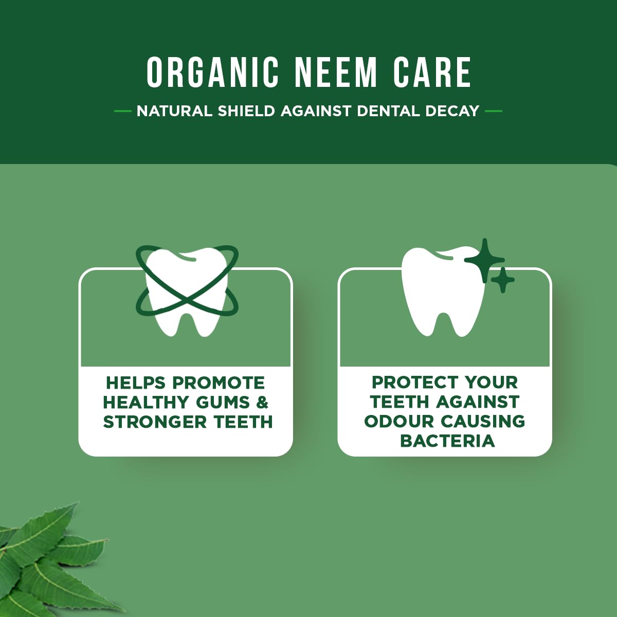 Dabur Toothpaste 100ml US – Neem Ayurveda, Pack of 3 (3.38 fl oz each)