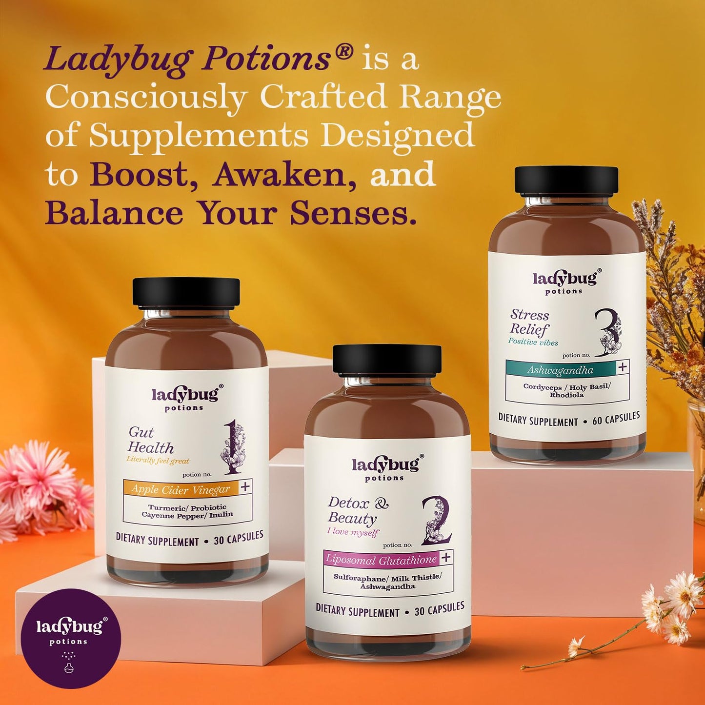 Ladybug Potions Organic Apple Cider Vinegar Capsules 450 mg | Turmeric, Probiotics & Cayenne