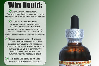 Dandelion Alcohol-Free Liquid Extract – Organic Taraxacum Officinale Glycerite, 2 oz | Hawaii Pharm