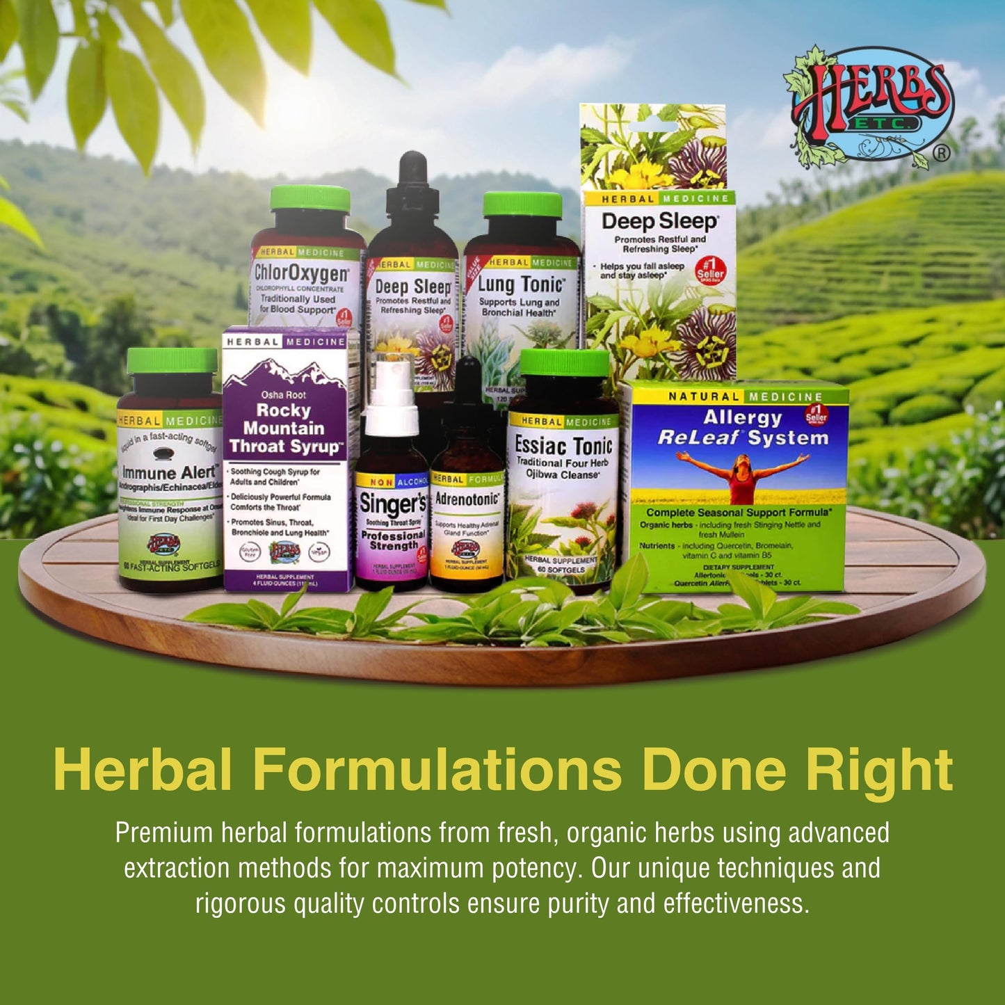 Herbs Etc. Deep Health – Daily Use Adaptogen Supplement | Immune Health & Energy | 120 Softgels