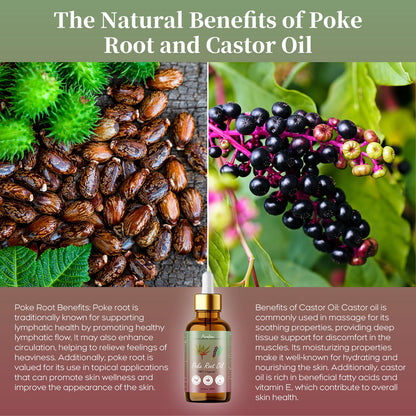 Organic Poke Root Castor Oil for Lymphatic Support – 60 ml (2.03 oz)