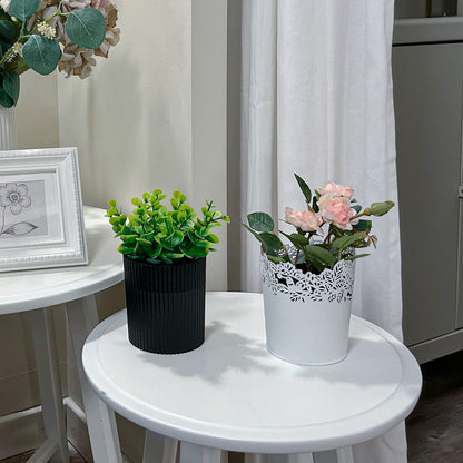 Denture Bath: Artificial Eucalyptus Potted Denture Case with Strainer