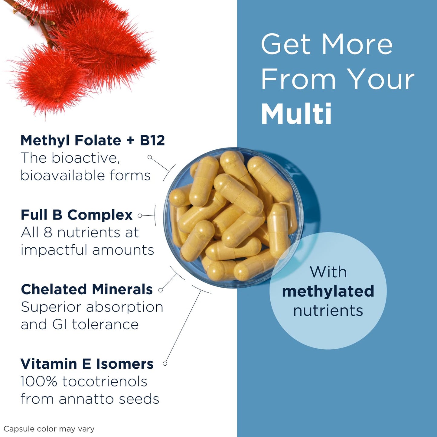 Methylated Multivitamin for Women & Men – 60 Capsules | Without Iron | Methylated B12 & Folate | Designs for Health