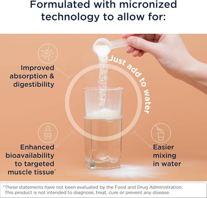 Designs for Health Micronized Creatine Monohydrate – Unflavored Powder, 90 Servings, 5g per Serving, Supports Muscle Strength & Brain Health
