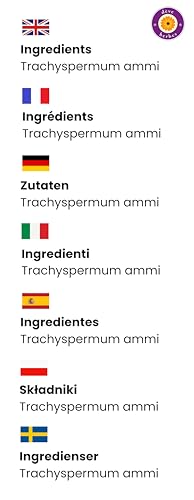 Deve Herbes Pure Ajwain Essential Oil (Trachyspermum ammi) – 30ml (1 oz) | Therapeutic Grade Steam Distilled