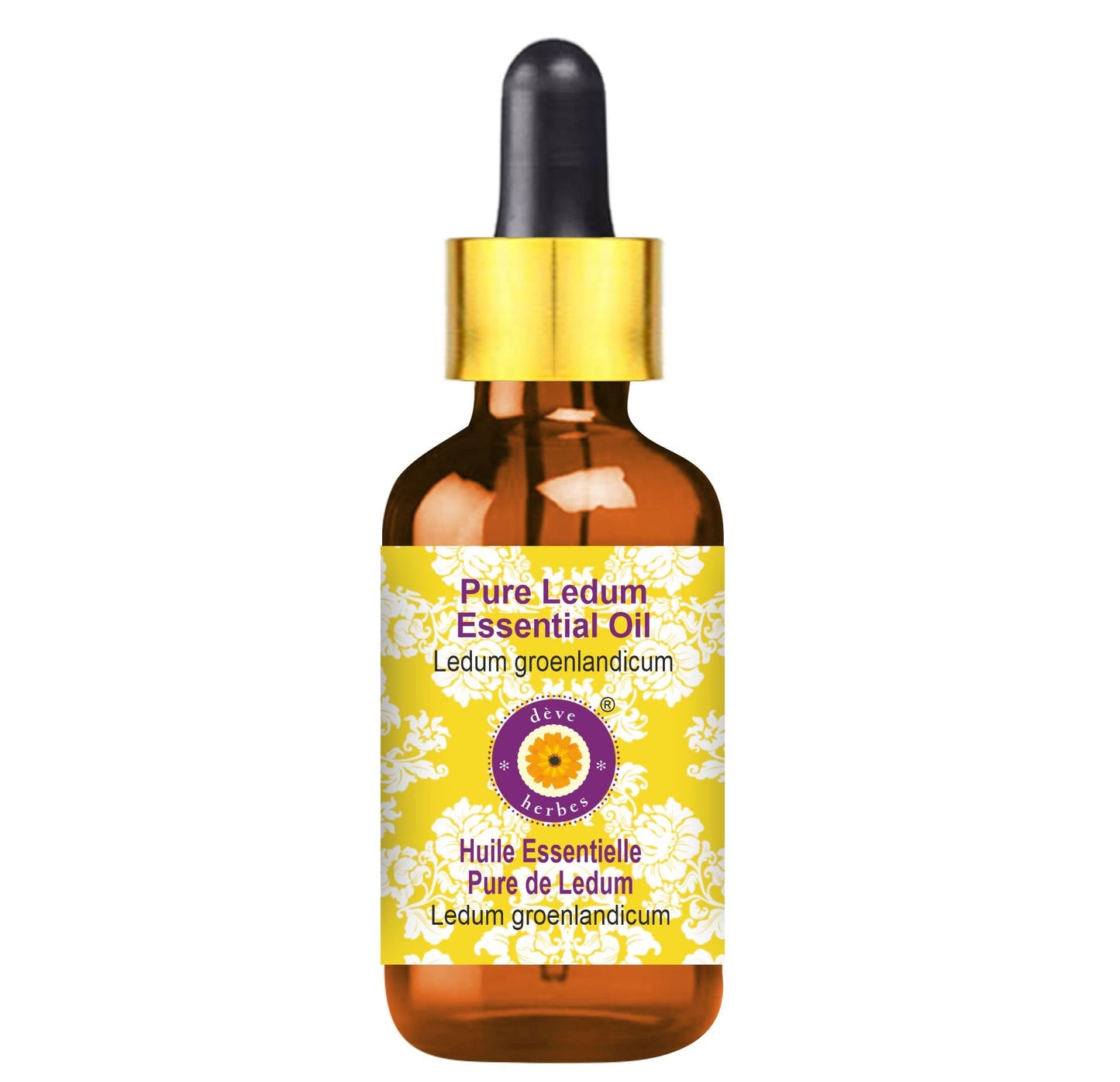 dève herbes Ledum Essential Oil (Ledum groenlandicum) 30ml - Steam Distilled, Amber Glass Bottle with Glass Dropper