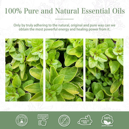 Oregano Essential Oil 100ml | PHATOIL Pure Aromatherapy Oil for Diffusers, Humidifiers, Candles & Soap