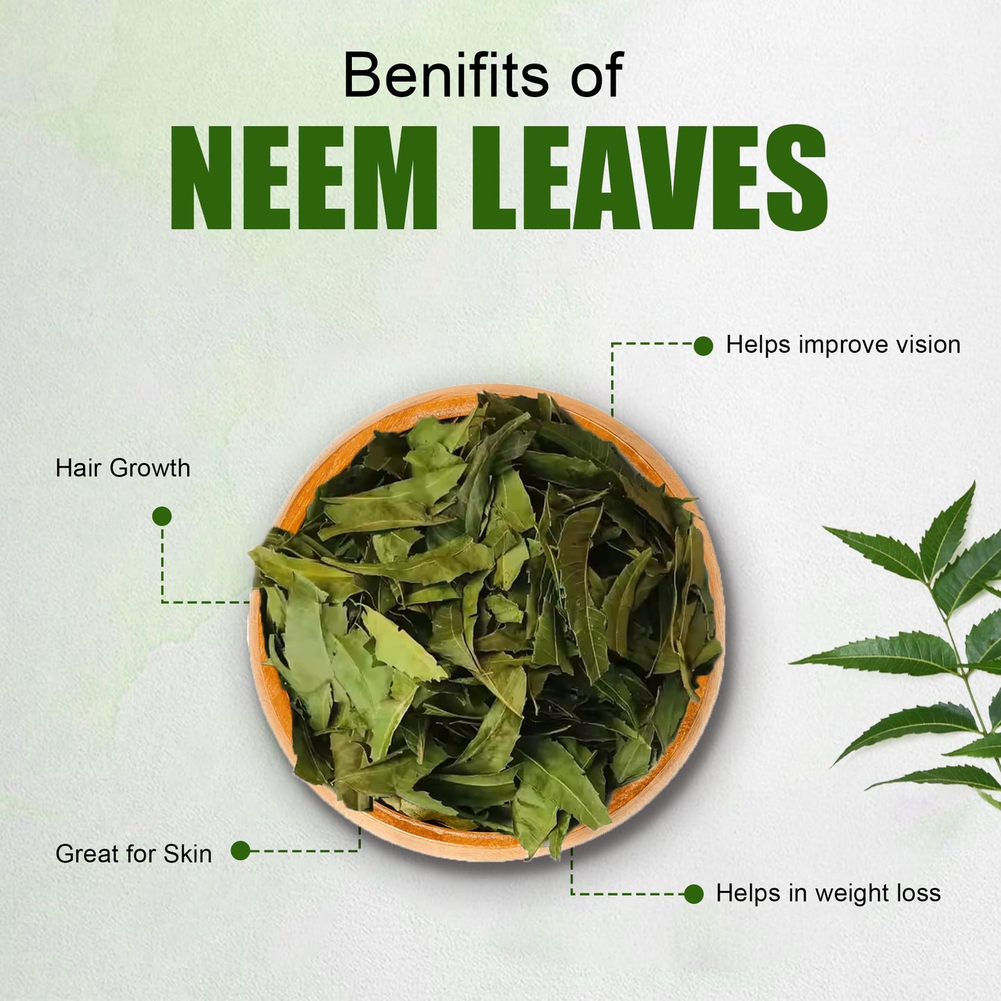 Diyon's Whole Dried Neem Leaves - 1 oz (28 g) 100% Natural, Air-Dried from Sri Lanka | Kraft Stand-Up Pouch