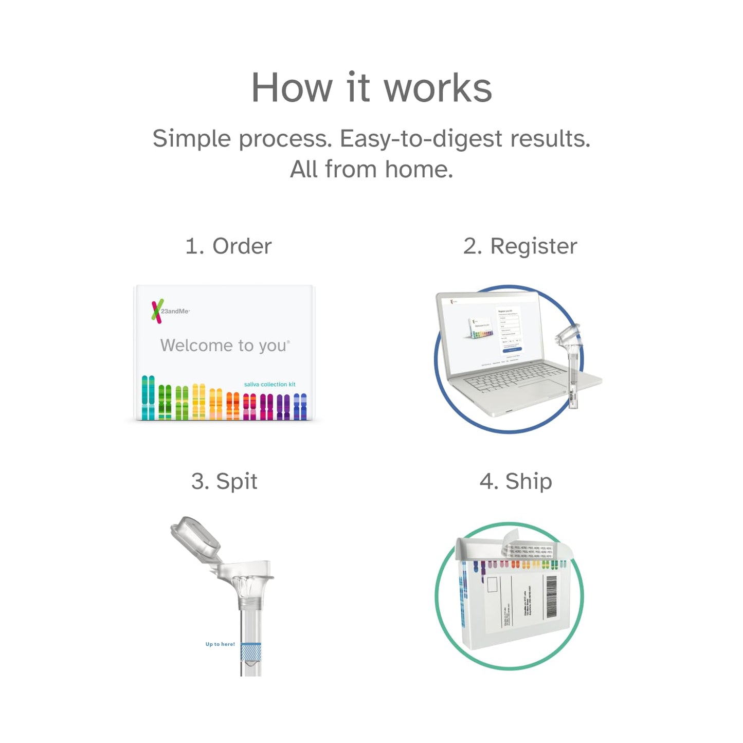 23andMe Health + Ancestry Service – Personal Genetic Test, Health Predispositions, Carrier Status, Wellness & Ancestry Reports